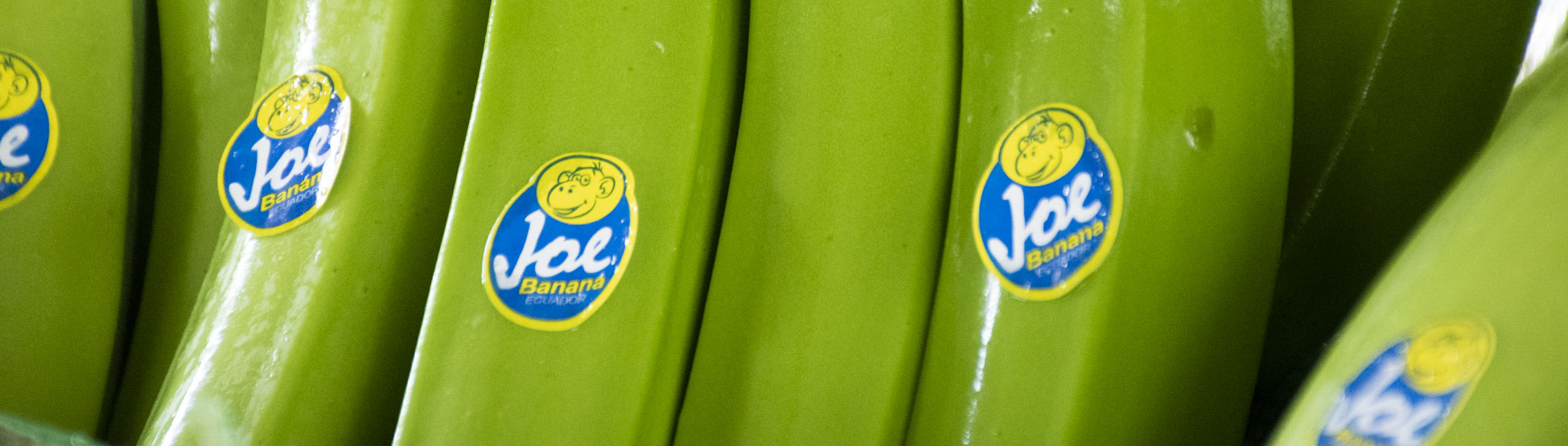 Joe Banana Caja